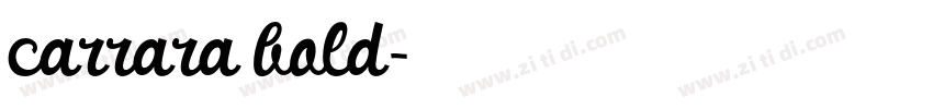 carrara bold字体转换